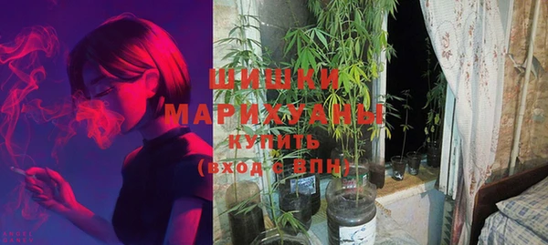 дурь Алзамай