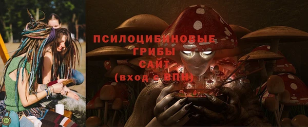 дурь Алзамай